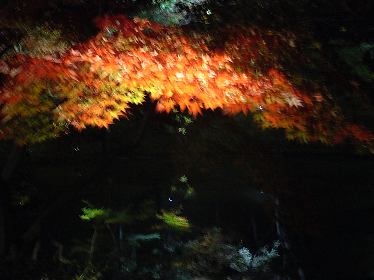 池に映える紅葉 by 古橋